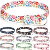 haoyueer Training Collar, No Pull Martingale Collar, Slip On Collar