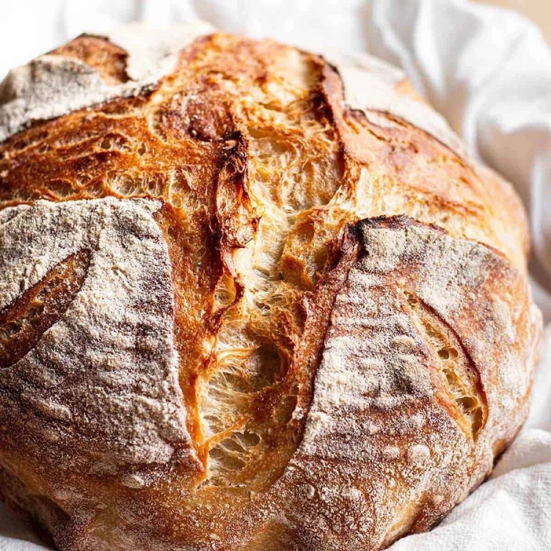Heritage Sour SOURDOUGH STARTER DEHYDRATED ORGANIC SOUR EAST TENNESSEE -