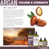 Hair Chemist Aceite para el cabello con volumen y fuerza