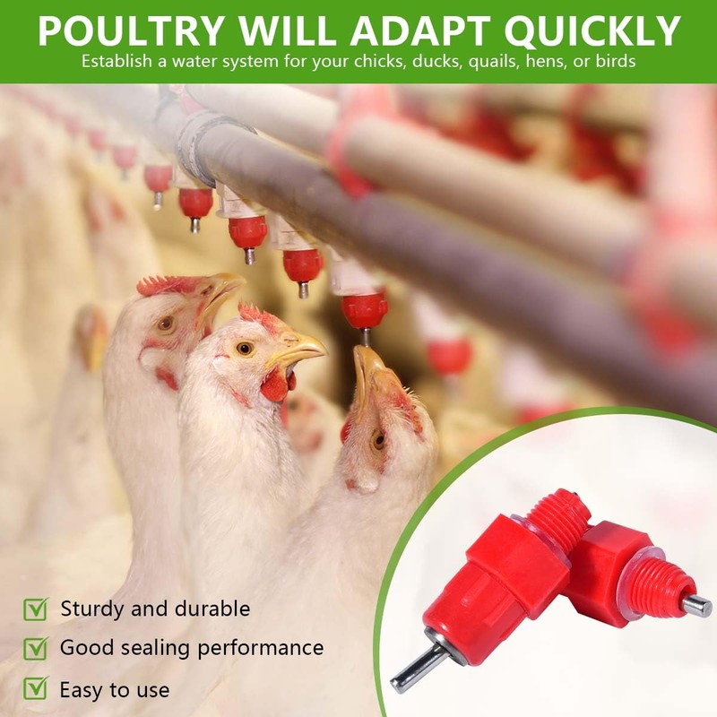 KISEER 30 Pack Automatic Chicken Waterer Poultry Water Nipple Drinker