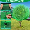 Fanfanwin 2 Packs 10 x 10 ft Large Fruit Tree