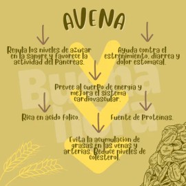 Avena en Hojuelas BUENAHORA 1Kg – Alta en Fibra Sin Azúcar Añadida Ideal para Desayunos Saludables Energía Duradera Mejorar Digestión Reducir Colesterol y Preparar Batidos o Galletas – Rolled Oats