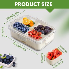 Divided Serving Tray with Lid and Handle, Snackle Box Container mit 4 Compartments Clear Serving Platters and Trays,Snack Platters for Veggie Fruits Snacks Nuts, for Picnic Party Travel