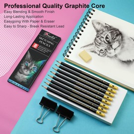 Drawing Pencils Set of 8-12B 10B 5B 3B 2B HB H 6H Sketching Pencils for Artists Beginners, Kids & Adults - Premium Wood Art Pencils Sketching Set for Shading, Doodling & Drawing