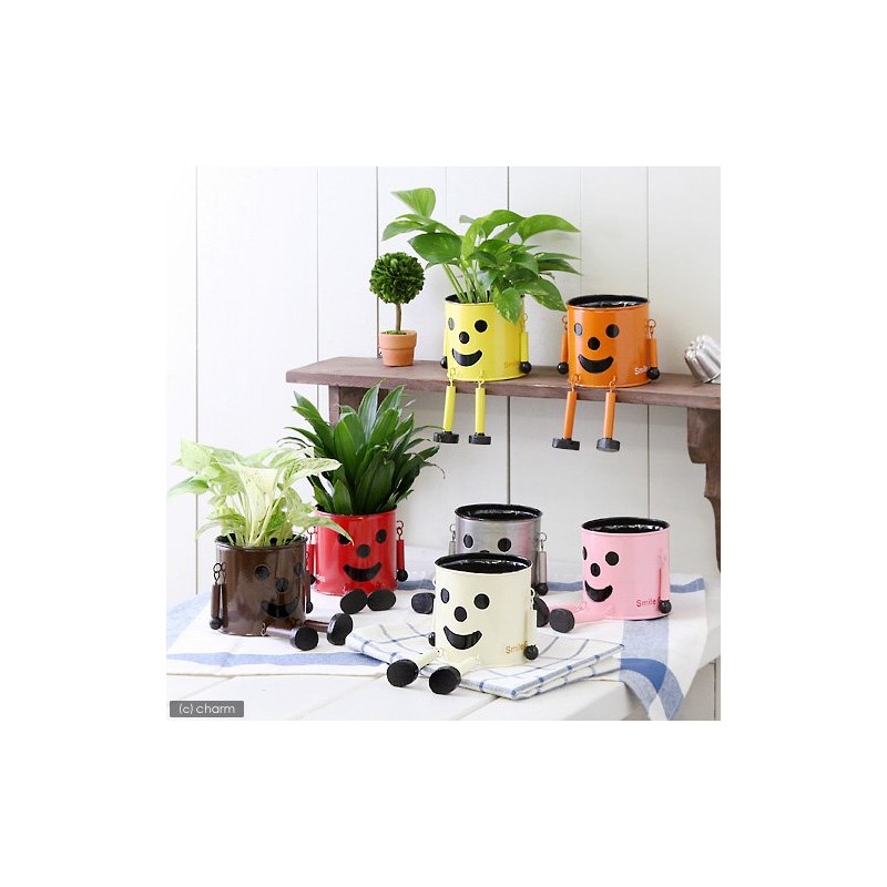 Greenhouse burikimanpotto Medium 2786 – B – or Orange