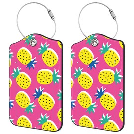 Neidius 2 Pack Luggage Tags for Suitcase,Tropical Pineapple Fruit PU Leather Luggage Tags with Privacy Cover Name Address Labels and Steel Ring,Creative Travel Accessories for Men and Women