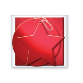 The Home Fusion Company 12 x Foil Christmas Xmas Present Shaped Gift Tags in Red Silver or Gold, Red