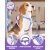 DF Freedom No Pull Martingale Dog Harness, Safety Control to