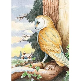 Bird of Prey Christmas Card. Barn Owl by David Thelwell