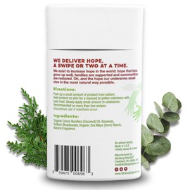 Stinkbug Naturals Organic Plastic Free Deodorant Stick with Cedar Eucalyptus, Coconut Oil and Activated Charcoal, Aluminum Free Deodorant, 2.65 Ounce Pack of 2