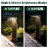 COXSENI Solar Pathway Lights Outdoor 6Pack, Bright 60LED Solar Path
