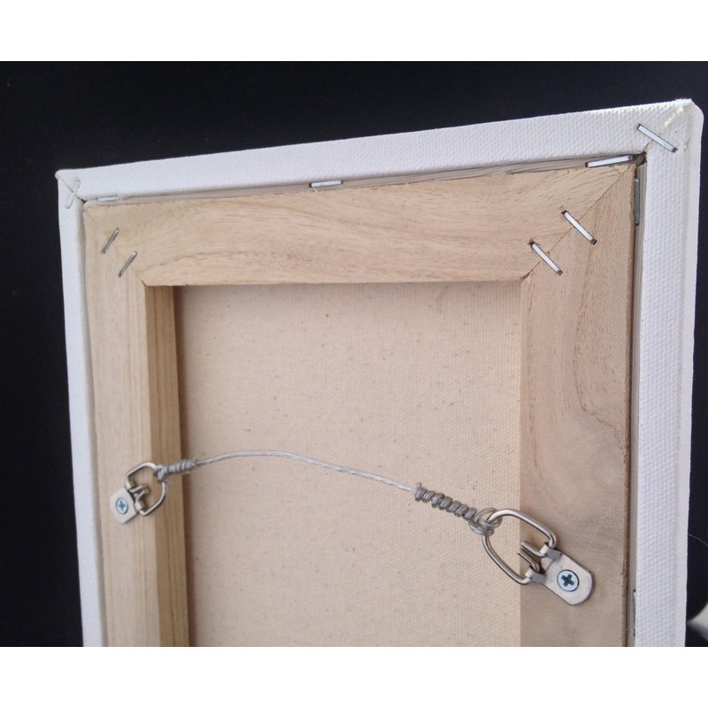 HangZ 70100 100lb #8 Plastic Coated Stainless Steel Gallery Wire,