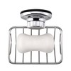 iPEGTOP Super Powerful Vacuum Suction Cup Shower Soap Dish -
