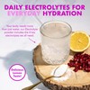 Spruce Daily Electrolytes – Zero Sugar Hydration Sachets with Potassium,