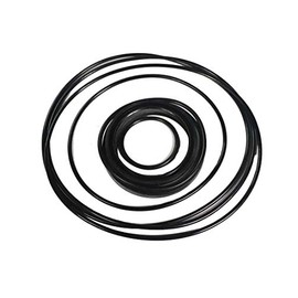 Maxim TC 2500 PSI Tie-Rod Cylinder Double Acting 2.5'' Bore Seal Kit for 1.125 Rod Dia and NPT Ports