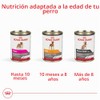 ROYAL CANIN Lata Wet All Dogs Mature Adult, 385g (El