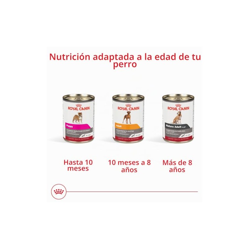ROYAL CANIN Lata Wet All Dogs Mature Adult, 385g (El