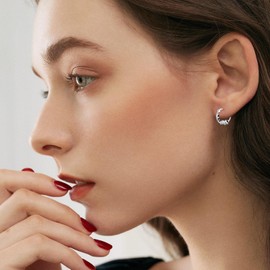 ROMANTICWORK 925 Sterling Silver Cute Rabbit/Cat/Raccoon/Wolf/Bee Hoop Earrings Hanging Earrings for Women Ladies Girls, Sterling Silver