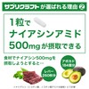 Supplicraft Niacinamide (Vitamin B3) 500mg × 100 Capsules Domestically Manufactured