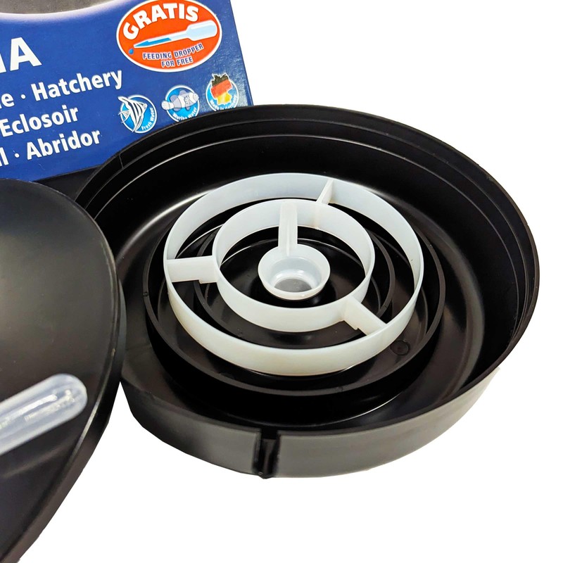 Brine Shrimp Hatchery Dish (Eggs Sold Separately.)