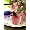 Wild Hibiscus Flower Extract Trio | 3 x 3.4 fl