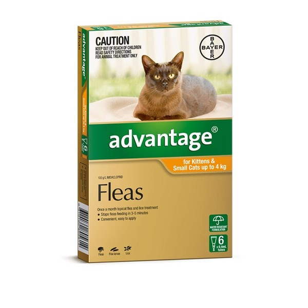 Advantage For Kittens & Small Cats (Up To 4kg) - 6 Pack