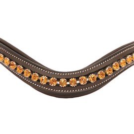 Exion Horse Browband for English Bridle | Curved Shape Padded Equestrian Browband for Show & Dressage | Topaz Crystal Browband for Horses
