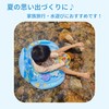 NASSIA 浮き輪 かわいいデザイン バルブ付き プール 海水浴用 水遊び用 (クジラ)
