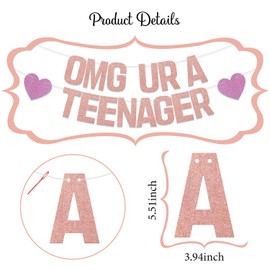 SJcysrilla Glitter OMG Ur A Teenager Banner 13th Birthday Party Decorations for Girl In My Teenager Era Cheers to 13 Years Anniversary Party Garland Bunting Sign Rose Gold