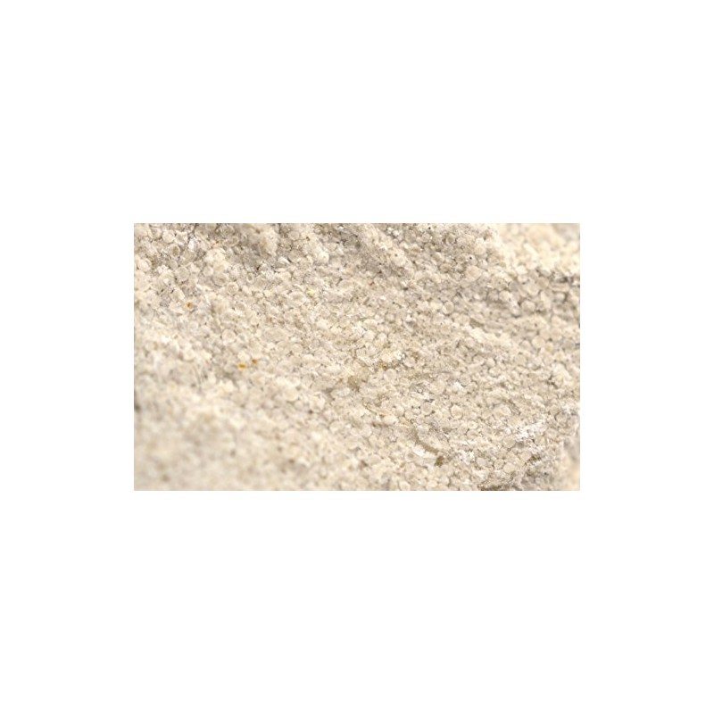 EISCO Oolitic Limestone Specimen (Sedimentary Rock), Approx. 1" (3cm)