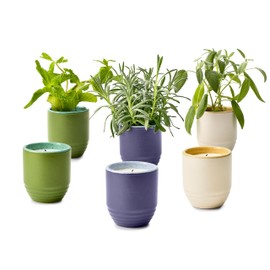Modern Sprout Garden Vibes 2-in-1 Soy Candle & Planter - 3-Pack Indoor Set (Violet Hour, in The Weeds, Golden Moments) 6 Oz Scented Candles with Lavender, Sage & Mint Seeds – 38–40 Hr Burn Each