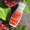 WELEDA POMEGRANATE REGENERATING BODY LOTION 200ML