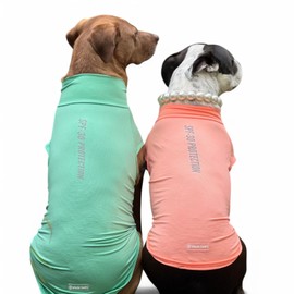 Spark Paws Dog T-Shirt, Quick Dry Soft Stretchy, Lightweight Breathable for Dogs with Sensitive Skin - Peach & Mint (Set of 2) - 3XL