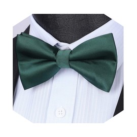 HISDERN Men's Bow Tie, Dot, Checked, Paisley, Adult, Floral Pattern, Plain, Glossy, Hook Type, Easy to Put on and Take Off, Wedding, Party, Choose Color, 07 green (solid)