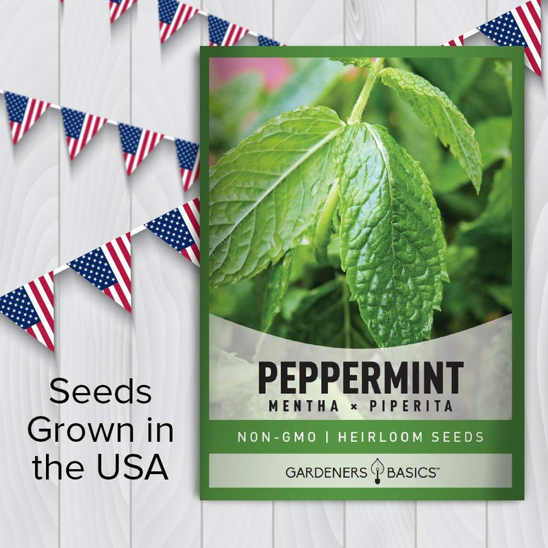 Peppermint Seeds for Planting is A Heirloom, Open-Pollinated, Non-GMO Herb
