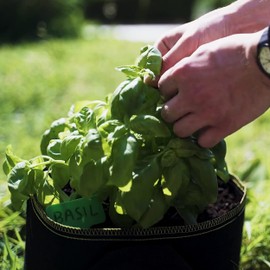 Praknu Plant Bag 20 L - Pack of 10 Non-Woven Fabric with Plant Labels for Labelling with Handle - For Herbs, Flowers and Strawberries