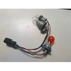 Leezhen Tail Lamp Socket Compatible with 2015 2016 2017 2018 Kia Sorento 92480-C6000