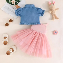 LUJENGEFA Baby Girls Summer Dress Tulle One Piece Skirt Short Sleeve Denim Tops 2PCS Outfits Set A-Pink 12-18 month