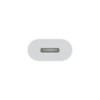 Apple USB-C to Lightning Adapter