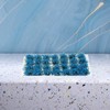 Alipis Model Basing Flower Cluster Flowers Vegetation Groups Grass Tufts