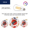FLSNT 100W Equivalent LED Edison Bulbs, ST19/ST58 Dimmable LED Light