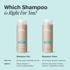 Paul Mitchell Shampoo Two, Clarifying Shampoo, Deep Cleanses + Removes