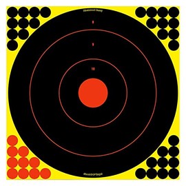 Birchwood Casey Snc 17.25 Inch Round Target 12 Pack