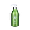 TS BD Shampoo Original 500g 1pc D.P / TS 비디 BD샴푸 본품 500g 1개D.P