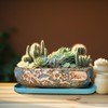 MUZHI 9.5” Rectangular Ceramic Rustic Bonsai Planter Pots with Drip