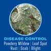 BioAdvanced Houseplant Insect & Mite Control, Ready-to-Use Fungul Disease &