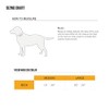 Carhartt Collar de cincha Ancha Totalmente Ajustable para Perros, Carhartt