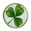 Lucky Irish Shamrock Pin Badge