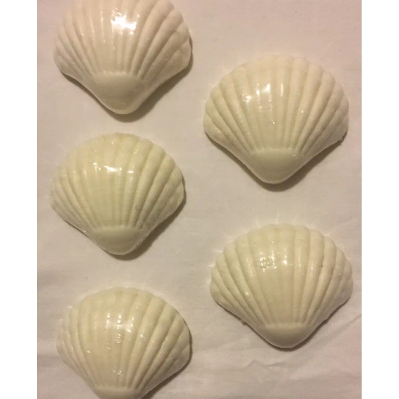 Malibu Cleansing Bar Shells Beach Cute Shaped Soap Wellness Cleaning