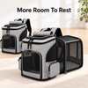 Expandable Pet Carrier Backpack for Cats & Small Dogs –